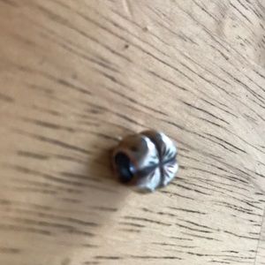 Pandora charm